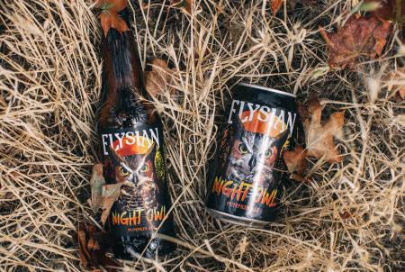 elysian night owl pumpkin ale arizon